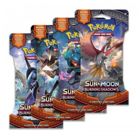 Pokemon: Sun & Moon Trainer Kit - Lycanroc & Alolan Raichu